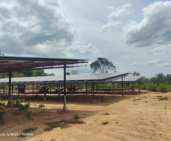 465603621_874269341516664_7953480601668287210_n